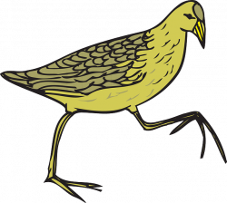 Quail Clipart at GetDrawings.com | Free for personal use Quail ...