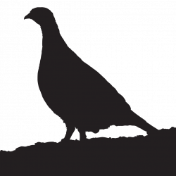 Partridge Silhouette at GetDrawings.com | Free for personal use ...
