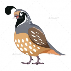 Vector image of the Cartoon happy Quail | Flyer Template ...
