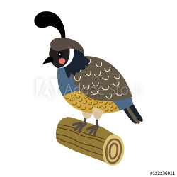 Quail bird perching on wood log animal cartoon character ...