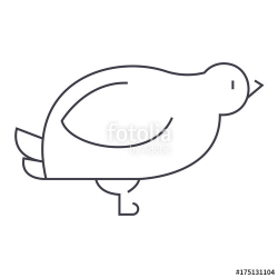 dove,quail vector line icon, sign, illustration on white ...