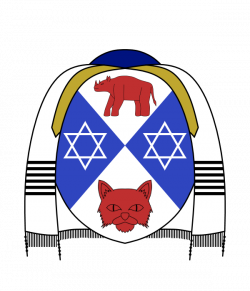 Coat of Arms for my Jewish brother (a Rabbi in training) : heraldry