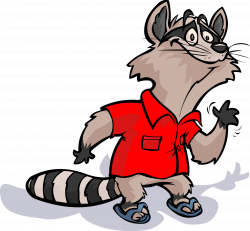 Baby Raccoon Clipart at GetDrawings.com | Free for personal use Baby ...