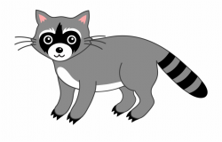 Free Raccoon Clipart - Clip Art Racoon, Transparent Png ...