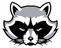 Raccoons logo - Concepts - Chris Creamer's Sports Logos Community ...