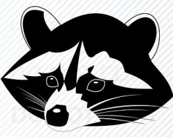 Raccoon head | Etsy