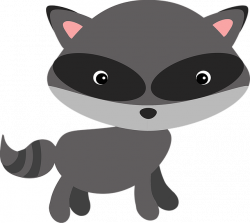 Racoon Clipart baby raccoon - Free Clipart on Dumielauxepices.net
