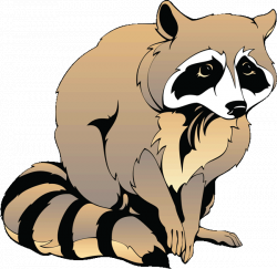 Raccoon Clip Art Pictures | Clipart Panda - Free Clipart Images