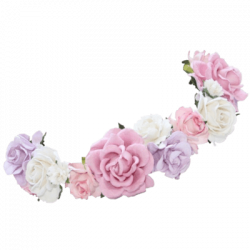 Flower Crown Snapchat Filter transparent PNG - StickPNG