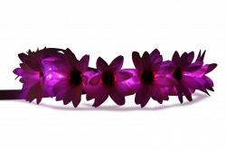 15 Rainbow flower crown png for free download on mbtskoudsalg