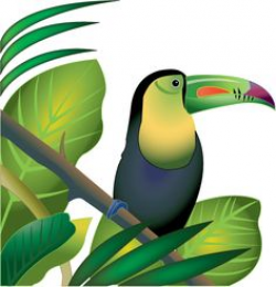 Amazon Rainforest Clipart