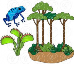 Learning about The Amazon Rainforest Clipart by Poppydreamz | TpT