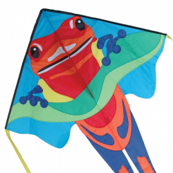 Kite Rainforest Frog – The Lazy Frog