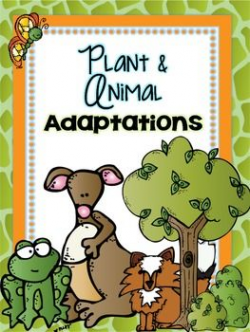 Plant and Animal Adaptations - Activities, Graphic ...
