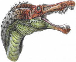 Baryonyx walkeri dinosaur | colored pencil artwork I'd like to do ...