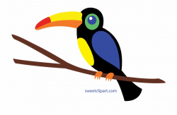 Rainforest Clipart Colored - Clip Art Toucan, Transparent ...