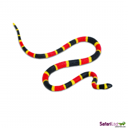 Coral snake clipart - Clip Art Library