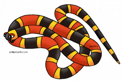 Rainforest Animals Clip Art by Phillip Martin, Coral Snake