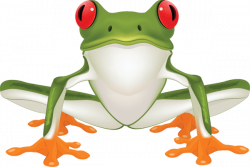 Jungle Frog Cliparts - Cliparts Zone