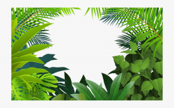 Rainforest Clipart Palm Tree ~ Frames ~ Illustrations ...
