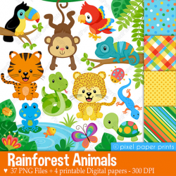 Rainforest clip art - Clipart and Digital paper set ...