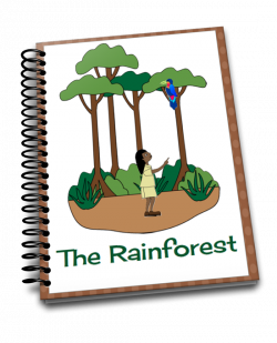 The Best Rainforest Children Books - Natural Beach Living