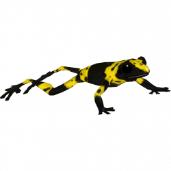 Yellow Poison Frog (Terrena Laxamentum) | ZT2 Download Library Wiki ...