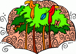 Rainforest rain forest clipart clipartmonk free clip art ...