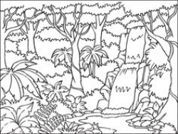Free Rainforest Clipart Black And White, Download Free Clip ...