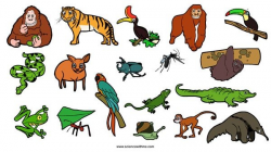 Collection of Rainforest clipart | Free download best ...
