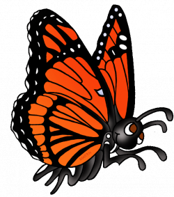 Animals Clip Art by Phillip Martin, Viceroy Butterfly