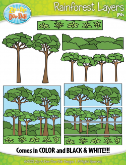 Rainforest Layers Clipart {Zip-A-Dee-Doo-Dah Designs} | My ...