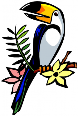 Toucan Clipart | Free download best Toucan Clipart on ...