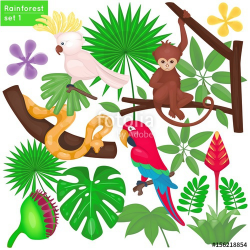 Rainforest and jungle life set. Tropical animals and plants ...