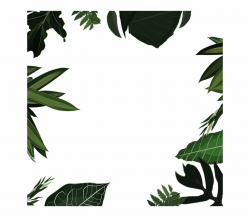 Foliage Plants Nature Spring Jungle Tropical Leaf {#1241743 ...