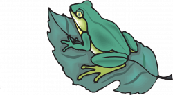 The Tree Frog Amphibian Clip art - frog 1280*706 transprent Png Free ...