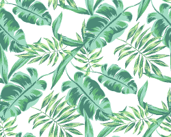 Free Wallpaper Clipart rainforest, Download Free Clip Art on ...