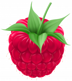 Raspberry PNG Clip Art Image | Gallery Yopriceville - High-Quality ...
