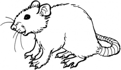 Smiling Rat coloring page | Free Printable Coloring Pages