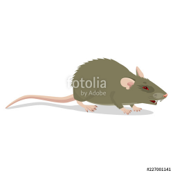 Evil Cartoon Rat Vector Clip Art Illustration. Angry Rat ...