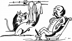 Fancy rat pros & cons