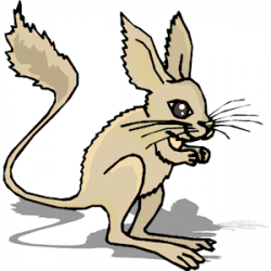 Kangaroo Rat clipart, cliparts of Kangaroo Rat free download ...