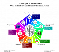 The Pentagon of Neuroscience — A Listicle for Understanding the ...