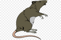 Beaver Cartoon clipart - Rat, Wildlife, Bear, transparent ...