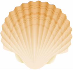 Seashell PNG Clip Art Image | Gallery Yopriceville - High-Quality ...