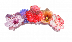 Creative Flower Crown Transparent PNG Image #409 - PNG Mix
