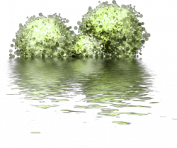 Clip art - Reflection in the water 640*536 transprent Png Free ...