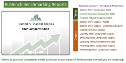 Summary Report | Financial Report Example | BizBench