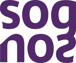 Sognos Solutions - First in Field Service — Reporting and Invoicing ...