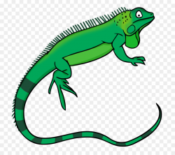 Green iguana Lizard Free content Clip art - Reptile Cliparts png ...